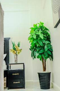 Elegant & Stylish Appartments In Nairobi Kileleshwa - 5