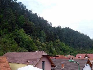 Casa Regal - Braşov - 6