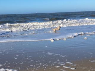 Appartement-Duenenblick-3-02 - Westerland - 8