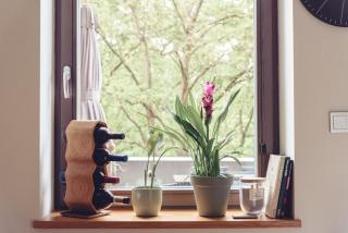 Apartament Prestige nad Łyną - Olsztyn - 2