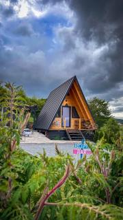 A FRAME 1 TRANSALPINA - 2