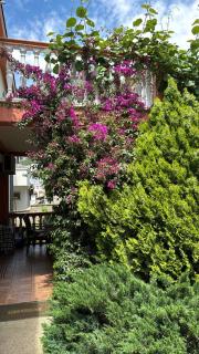 Sayohat Apartments - Dobra Voda - 7