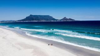 Leigh's home with dogs - Kaapstad - 9