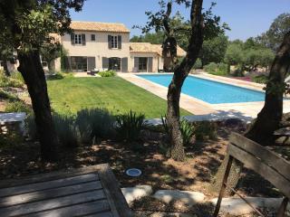Beautiful villa with pool near St Remy-de-Provence - Eyragues - 9