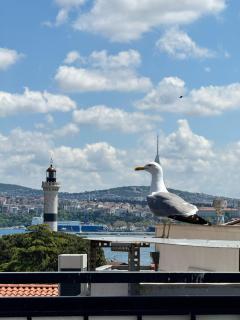 Hotel Ipekyolu - Istanbul - 7