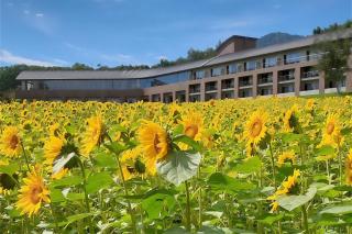 富良野ホテル - Furano - 0