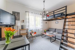 Apartament Loftowy na Spokojnej - 9