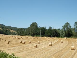 Alluring Farmhouse in Ortignano with Swimming Pool - Castel Focognano - 3