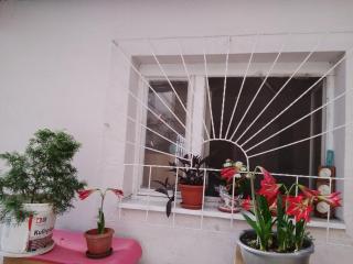 Home in flowers - 1