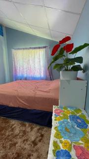 Earnhomestay sichon - Ban Plai Thon - 5