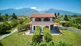 Villa Niki - Plaka Litochorou - 0