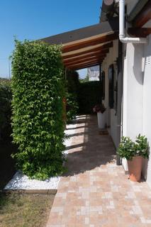 Ca D'oro - Cavallino-Treporti - 4