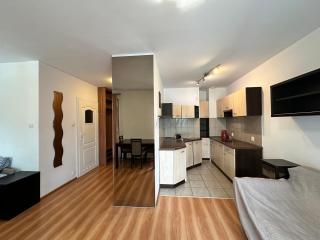 Olivka STUDIO i PARKING - Oliva - 8