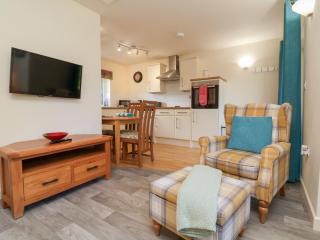 Larchwood Lodge - Ilfracombe - 7