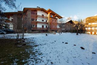 Villa Ginestra 3 - Moena - 1
