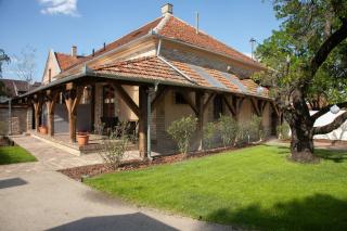 Vadvirág Apartman Gyula - 8