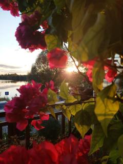 Apartament 6 Zakątek nad Jeziorem Ełk - Ełk - 0