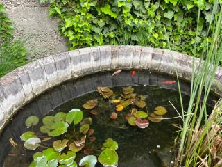 Ladislaus Schnaps-Haus Falusi Vendégház - 2