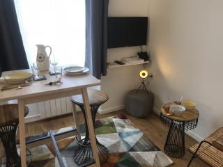 La Suite de Léon appartement D - Lyon Garibaldi - Lyon - 5