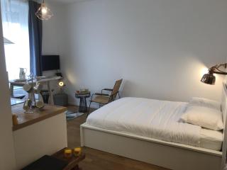 La Suite de Léon appartement D - Lyon Garibaldi - Lyon - 8