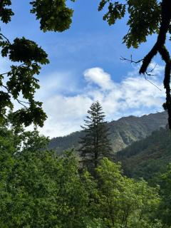 Gerês Vidoeiro Camping - Bicas - 7