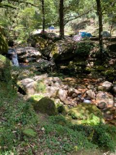 Gerês Vidoeiro Camping - Bicas - 4