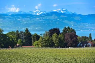Dinkelbach Traumblick 3 B - Hengnau - 8
