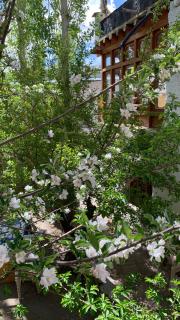 Ajanta guest House - Leh - 7