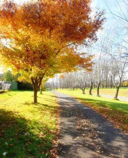 Brand new sunny apartment comfy with views - 2