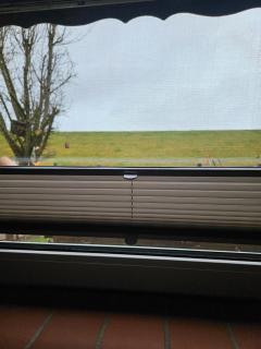 Deichblick - Wangerland - 7