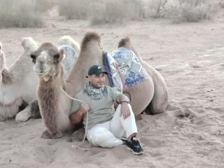 GOLDEN Safari YURT CAMP - 4