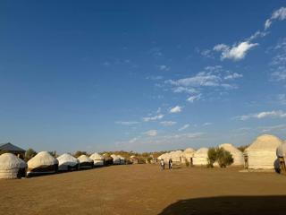 GOLDEN Safari YURT CAMP - 5