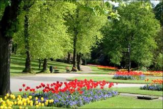 Superb 2 bedroom town apartment, quiet location - 6