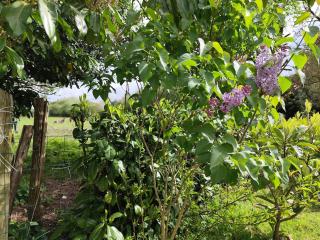 Golfe du Morbihan et Landes de lanvaux - 7
