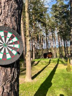 Domek pod sosnami - 6