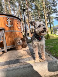 Domek pod sosnami - 3