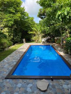 Chambre iguane - Sainte-Anne - 2