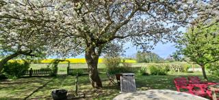 Fridfullt sommarhus mitt på Österlen - 9