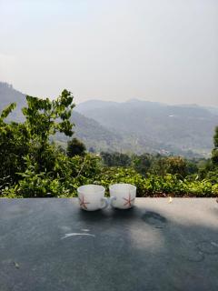 Kay's Tea Estate Bungalow with Waterfall View - Kotagiri - 8