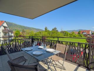 Parking privé - Accès PMR - Terrasse vue châteaux - 2 lits - Châtenois - 6