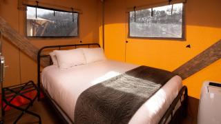 Get Your Glamp On - Sevierville - 4