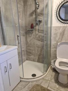 Town guest house - 0