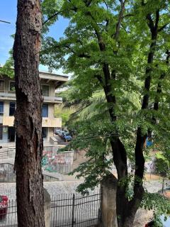 Cozy Apartment in Old Town Tbilisi - Tiflis - 8