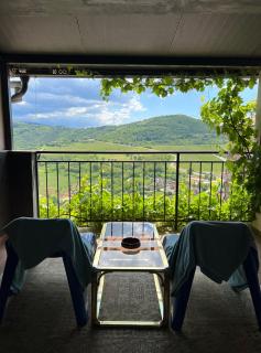 Birdhouse - Motovun - 0