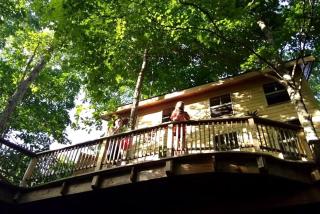 Magical Family Tree House in Secluded Woodland near Germantown, Kentucky - 3