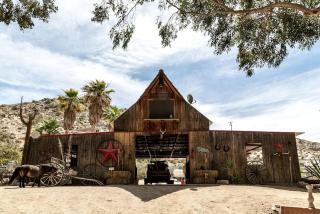 Unique Desert Experience for a Romantic Getaway Ideal for Exotic Animal Lovers in Morongo Valley, California. - Morongo Valley - 9