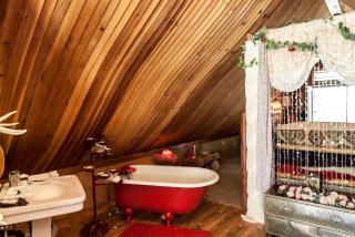 Unique Desert Experience for a Romantic Getaway Ideal for Exotic Animal Lovers in Morongo Valley, California. - Morongo Valley - 6