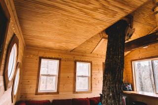 Stunning Tree House Tucked Away Among the Trees near Germantown, Kentucky - - 6
