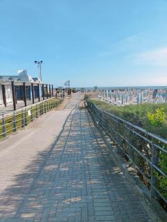 Lero 40 - Bibione - 1