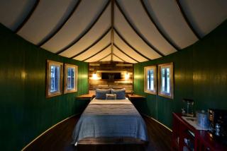 Romantic Getaways in Fully-Equipped Tree House Rental in Spicewood, Texas - Spicewood - 9